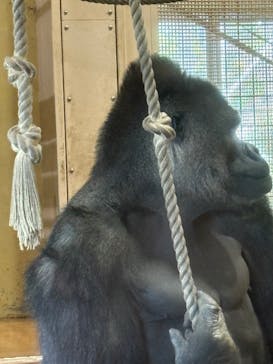 名古屋市東山動植物園に投稿された画像（2025/11/17）