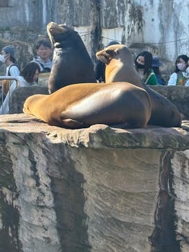 名古屋市東山動植物園に投稿された画像（2025/11/17）