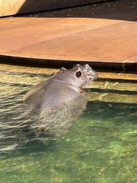 名古屋市東山動植物園に投稿された画像（2025/11/17）