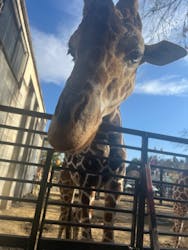 宇都宮動物園に投稿された画像（2025/11/17）