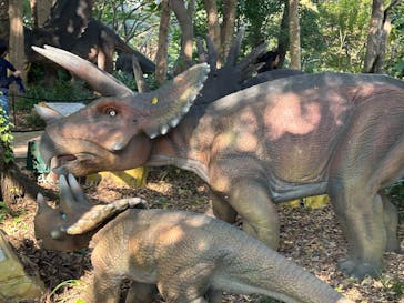 安城産業文化公園デンパークに投稿された画像（2025/11/17）