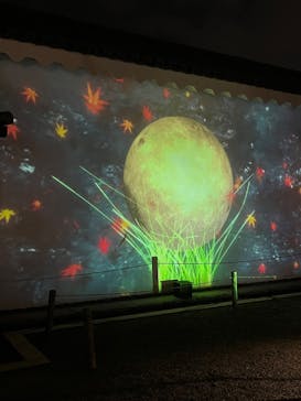 NAKED meets 二条城 2025 観月に投稿された画像（2025/11/18）