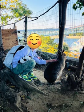 横浜・八景島シーパラダイスに投稿された画像（2025/11/18）