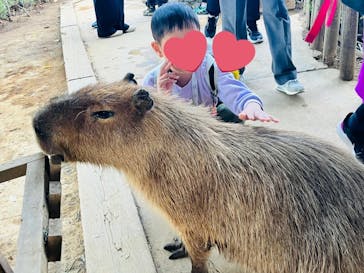 横浜・八景島シーパラダイスに投稿された画像（2025/11/18）