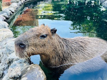 横浜・八景島シーパラダイスに投稿された画像（2025/11/18）