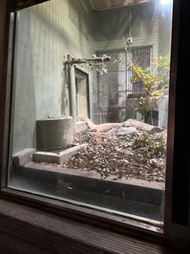 名古屋市東山動植物園に投稿された画像（2025/11/18）