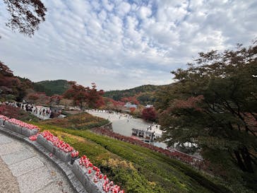 勝尾寺に投稿された画像（2025/11/18）