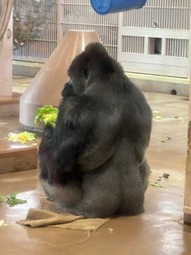 名古屋市東山動植物園に投稿された画像（2025/11/18）