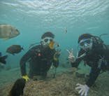 青の洞窟専門店　沖縄ダイビングショップ和に投稿された画像（2025/11/18）