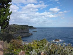 ニューヨークランプミュージアム＆フラワーガーデンに投稿された画像（2025/11/18）