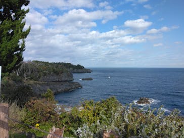 ニューヨークランプミュージアム＆フラワーガーデンに投稿された画像（2025/11/18）