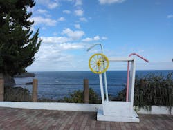 ニューヨークランプミュージアム＆フラワーガーデンに投稿された画像（2025/11/18）