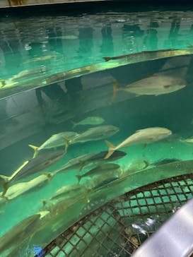 城崎マリンワールドに投稿された画像（2025/11/18）