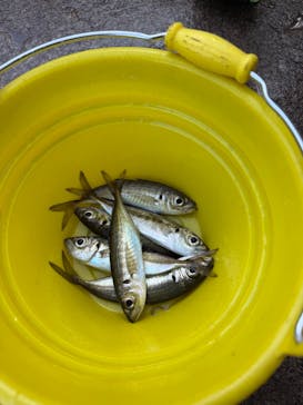 城崎マリンワールドに投稿された画像（2025/11/18）