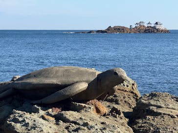 城崎マリンワールドに投稿された画像（2025/11/18）