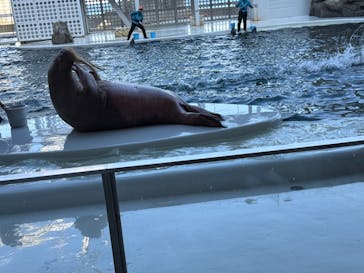 城崎マリンワールドに投稿された画像（2025/11/18）