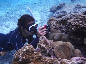 宮古島マリンショップSmileyに投稿された画像（2025/11/18）