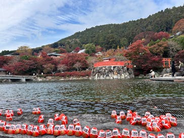 勝尾寺に投稿された画像（2025/11/18）