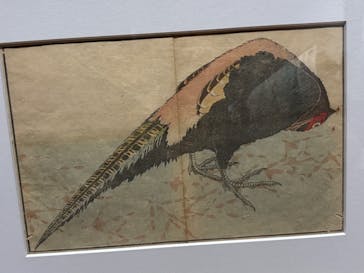 HOKUSAI－ぜんぶ、北斎のしわざでした。展に投稿された画像（2025/11/18）