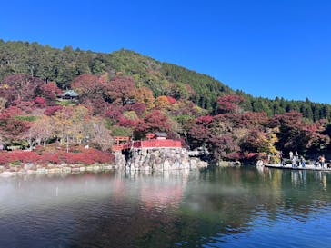 勝尾寺に投稿された画像（2025/11/18）