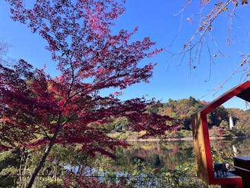 ムーミンバレーパークに投稿された画像（2025/11/18）