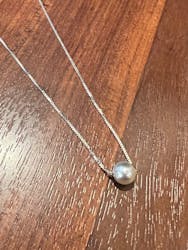 真珠工房 真珠の里に投稿された画像（2025/11/18）