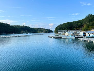 真珠工房 真珠の里に投稿された画像（2025/11/18）