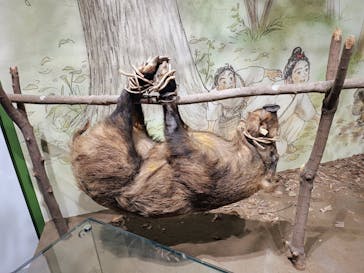 滋賀県立琵琶湖博物館に投稿された画像（2025/11/18）