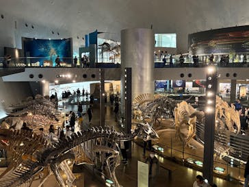 福井県立恐竜博物館に投稿された画像（2025/11/18）