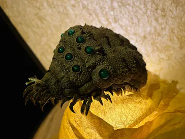 金曜ロードショーとジブリ展（静岡展）に投稿された画像（2025/11/18）