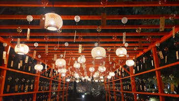 国営昭和記念公園 秋の夜散歩に投稿された画像（2025/11/18）