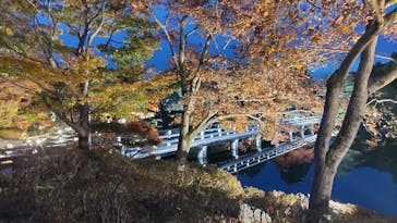 国営昭和記念公園 秋の夜散歩に投稿された画像（2025/11/18）