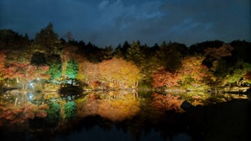 国営昭和記念公園 秋の夜散歩に投稿された画像（2025/11/18）