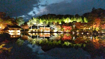 国営昭和記念公園 秋の夜散歩に投稿された画像（2025/11/18）