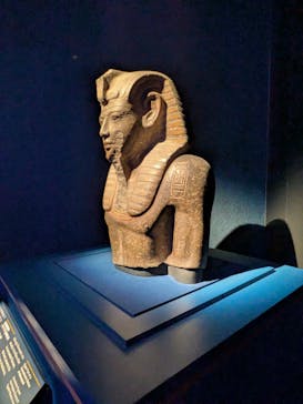 ACN ラムセス大王展 ファラオたちの黄金に投稿された画像（2025/11/18）