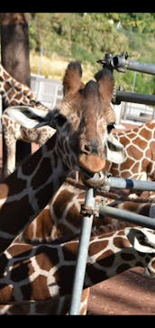 多摩動物公園に投稿された画像（2025/11/18）