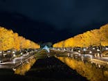 国営昭和記念公園 秋の夜散歩に投稿された画像（2025/11/18）