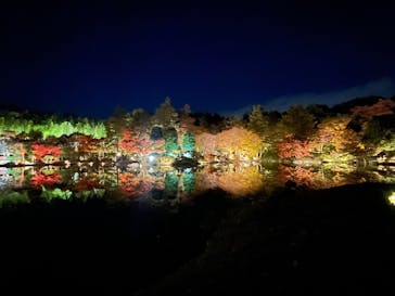 国営昭和記念公園 秋の夜散歩に投稿された画像（2025/11/18）
