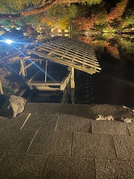 国営昭和記念公園 秋の夜散歩に投稿された画像（2025/11/18）