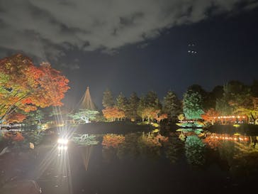 国営昭和記念公園 秋の夜散歩に投稿された画像（2025/11/18）