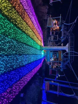 さがみ湖MORI MORIに投稿された画像（2025/11/18）