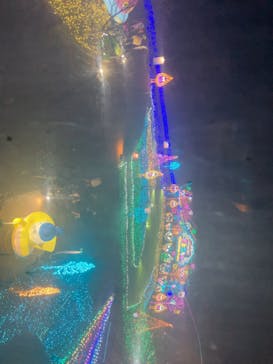 さがみ湖MORI MORIに投稿された画像（2025/11/18）