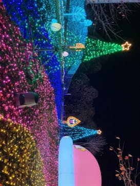 さがみ湖MORI MORIに投稿された画像（2025/11/18）