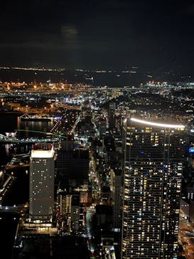 横浜ランドマークタワー 69階展望フロア スカイガーデンに投稿された画像（2025/11/18）