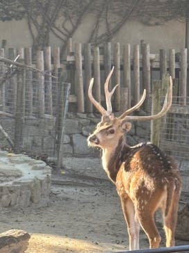 名古屋市東山動植物園に投稿された画像（2025/11/18）