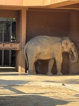 名古屋市東山動植物園に投稿された画像（2025/11/18）
