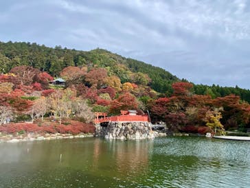 勝尾寺に投稿された画像（2025/11/18）