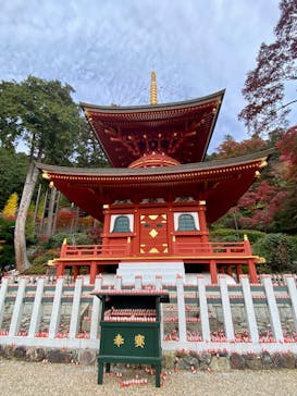 勝尾寺に投稿された画像（2025/11/18）