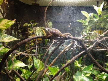 天王寺動物園に投稿された画像（2025/11/19）