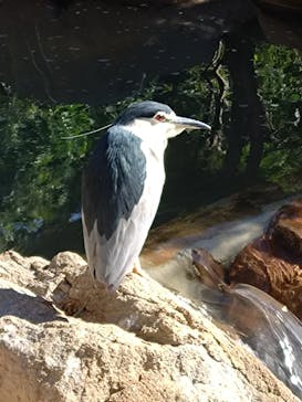 天王寺動物園に投稿された画像（2025/11/19）